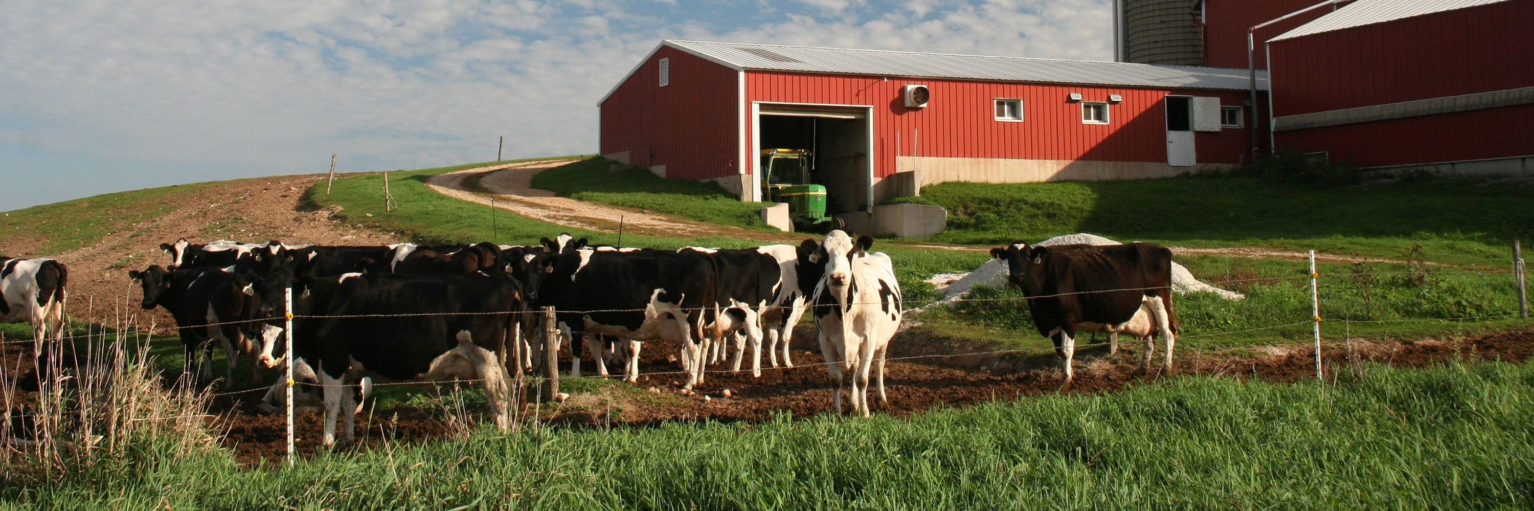 A Dairy Farm